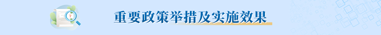 重要政策舉措及實施效果